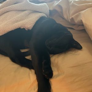 Meet your Posher, Christine